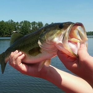 Meet your Posher, Alice